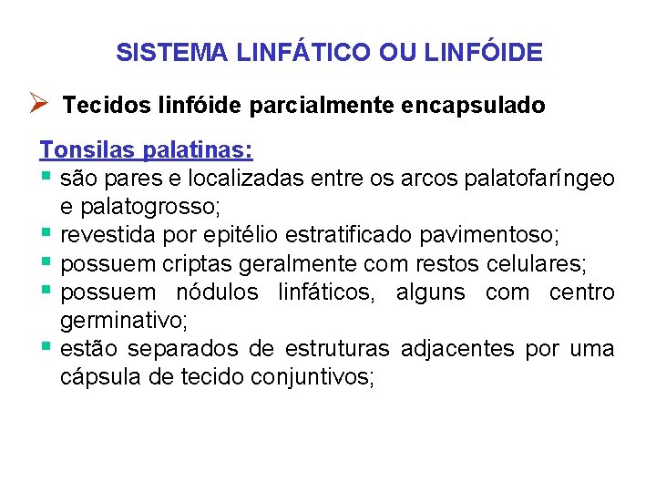 SISTEMA LINFÁTICO OU LINFÓIDE Ø Tecidos linfóide parcialmente encapsulado Tonsilas palatinas: § são pares SISTEMA LINFÁTICO OU LINFÓIDE Ø Tecidos linfóide parcialmente encapsulado Tonsilas palatinas: § são pares