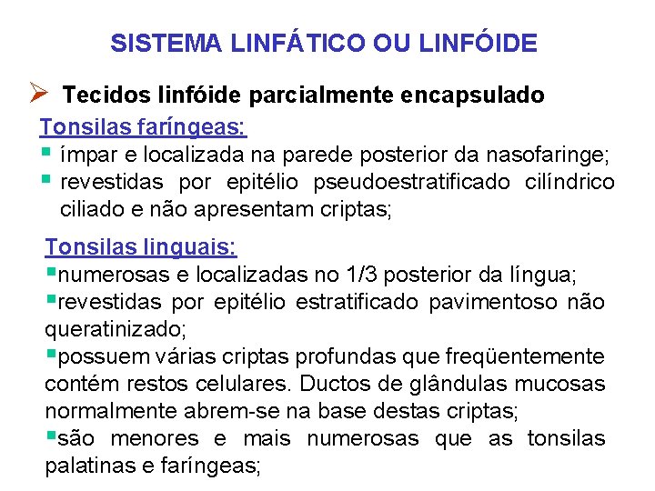 SISTEMA LINFÁTICO OU LINFÓIDE Ø Tecidos linfóide parcialmente encapsulado Tonsilas faríngeas: § ímpar e SISTEMA LINFÁTICO OU LINFÓIDE Ø Tecidos linfóide parcialmente encapsulado Tonsilas faríngeas: § ímpar e