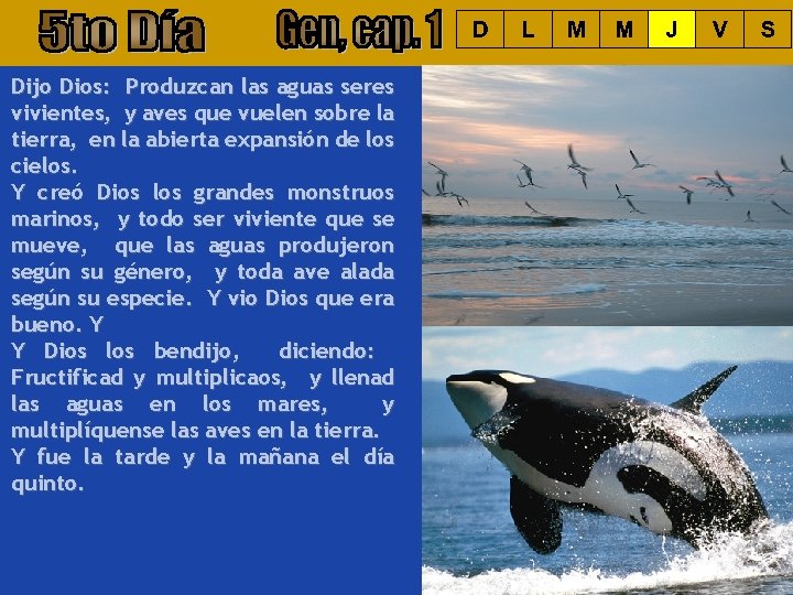 Dijo Dios: Produzcan las aguas seres vivientes, y aves que vuelen sobre la tierra,
