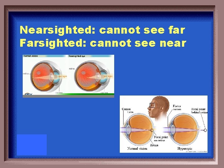 Nearsighted: cannot see far Farsighted: cannot see near 