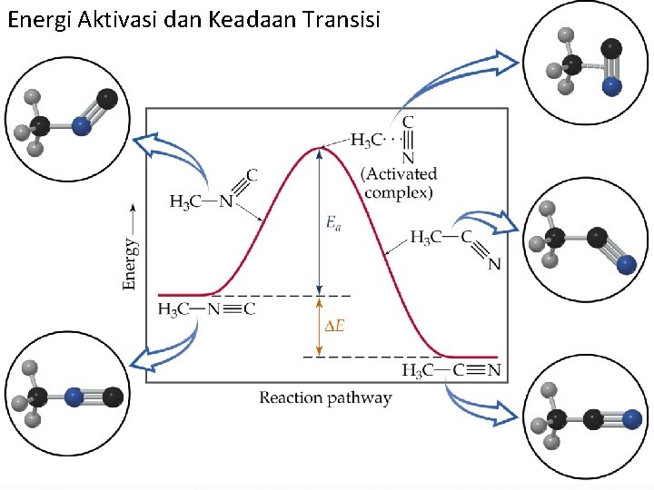 Energi Aktivasi dan Keadaan Transisi 17 