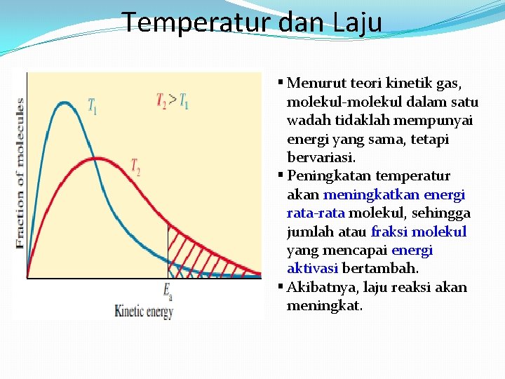 Temperatur dan Laju § Menurut teori kinetik gas, molekul-molekul dalam satu wadah tidaklah mempunyai