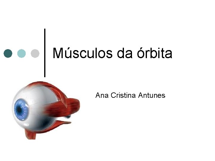 Músculos da órbita Ana Cristina Antunes 