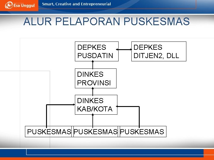 ALUR PELAPORAN PUSKESMAS DEPKES PUSDATIN DEPKES DITJEN 2, DLL DINKES PROVINSI DINKES KAB/KOTA PUSKESMAS
