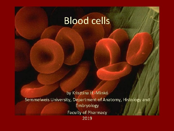 Blood cells by Krisztina H. -Minkó Semmelweis University, Department of Anatomy, Histology and Embryology