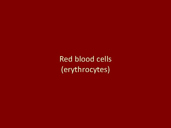 Red blood cells (erythrocytes) 