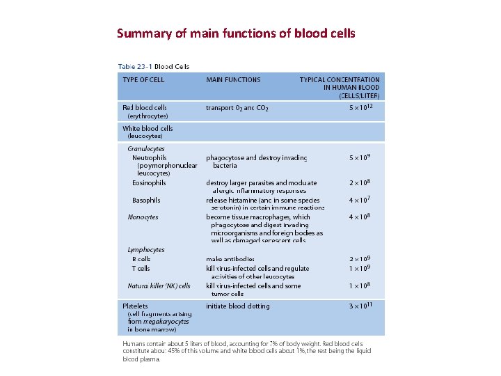 Summary of main functions of blood cells 