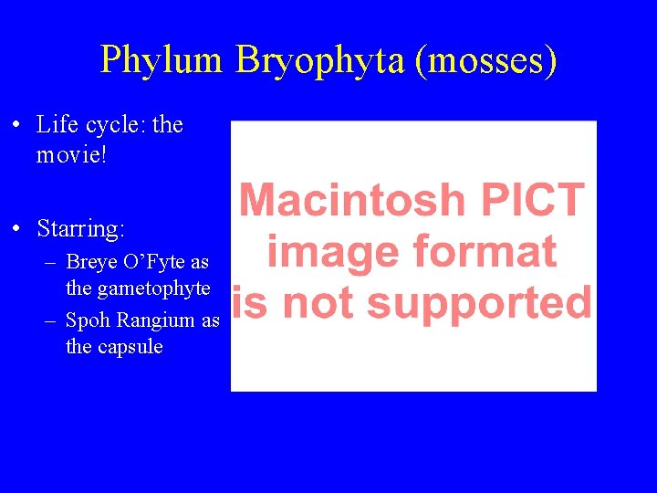 Phylum Bryophyta (mosses) • Life cycle: the movie! • Starring: – Breye O’Fyte as