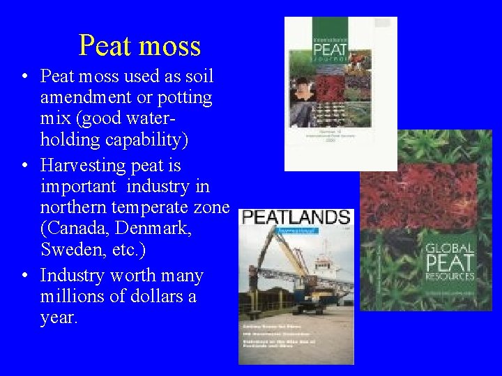 Peat moss • Peat moss used as soil amendment or potting mix (good waterholding