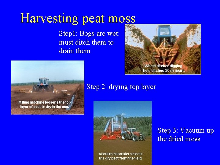 Harvesting peat moss Step 1: Bogs are wet: must ditch them to drain them