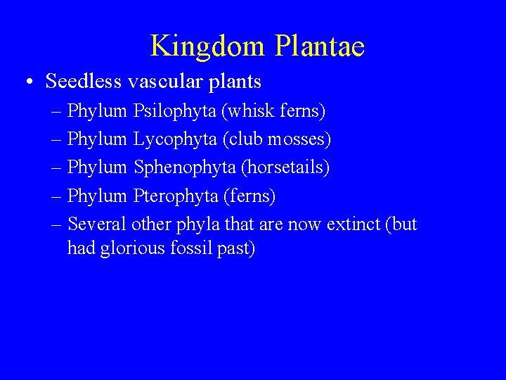 Kingdom Plantae • Seedless vascular plants – Phylum Psilophyta (whisk ferns) – Phylum Lycophyta