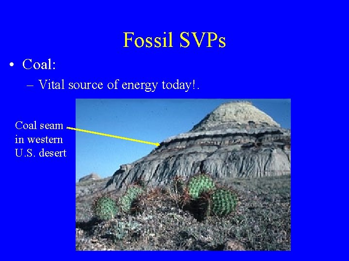 Fossil SVPs • Coal: – Vital source of energy today!. Coal seam in western