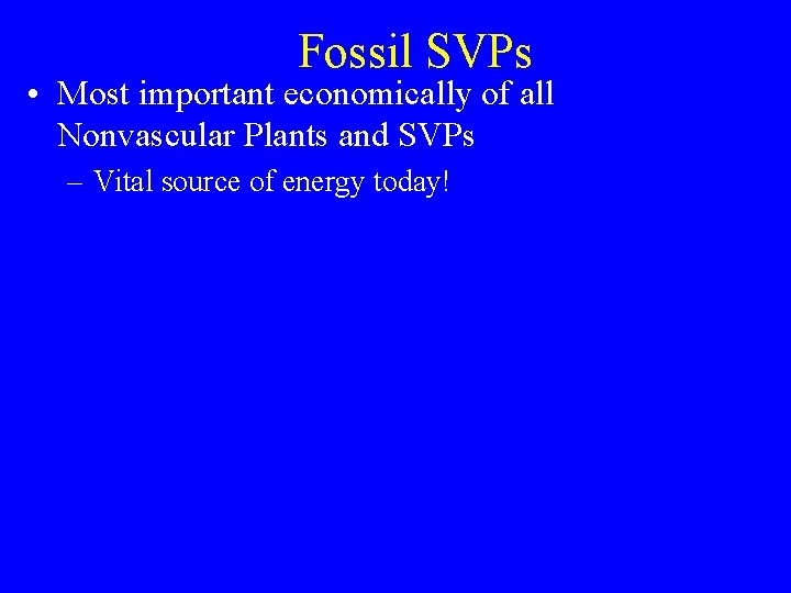Fossil SVPs • Most important economically of all Nonvascular Plants and SVPs – Vital