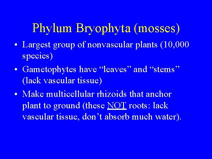 Phylum Bryophyta (mosses) • Largest group of nonvascular plants (10, 000 species) • Gametophytes