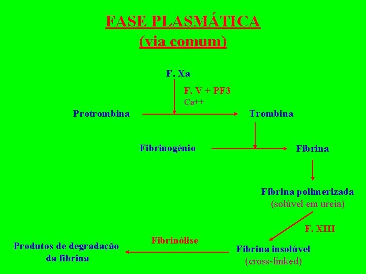 FASE PLASMÁTICA (via comum) F. Xa F. V + PF 3 Ca++ Protrombina Trombina