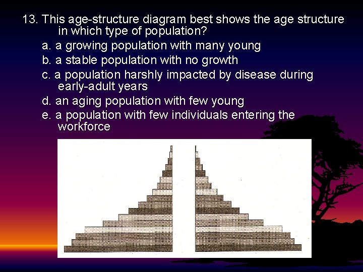 13. This age-structure diagram best shows the age structure in which type of population? 13. This age-structure diagram best shows the age structure in which type of population?