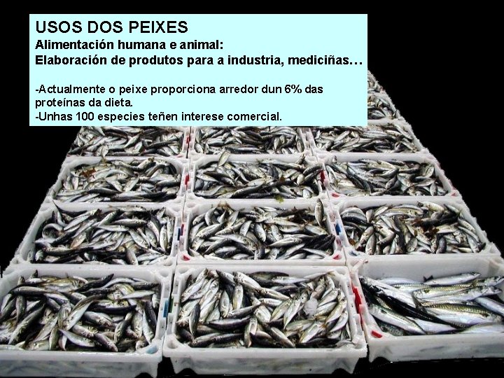 USOS DOS PEIXES Alimentación humana e animal: Elaboración de produtos para a industria, mediciñas… USOS DOS PEIXES Alimentación humana e animal: Elaboración de produtos para a industria, mediciñas…