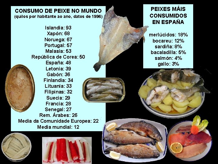 CONSUMO DE PEIXE NO MUNDO (quilos por habitante ao ano, datos de 1996) Islandia: CONSUMO DE PEIXE NO MUNDO (quilos por habitante ao ano, datos de 1996) Islandia: