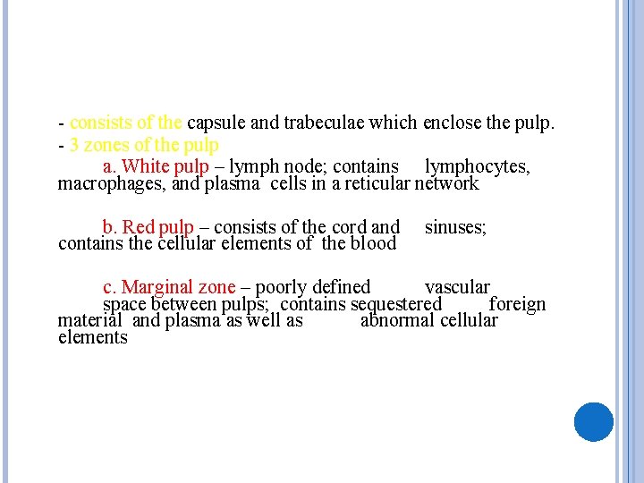 - consists of the capsule and trabeculae which enclose the pulp. - 3 zones