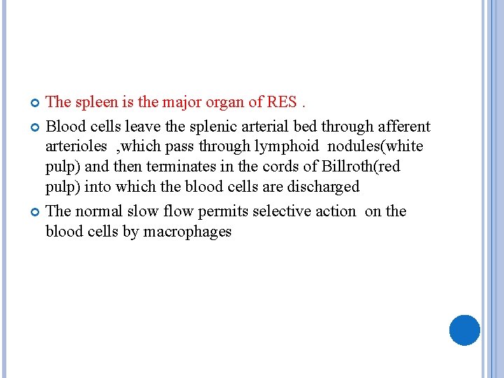 The spleen is the major organ of RES. Blood cells leave the splenic arterial