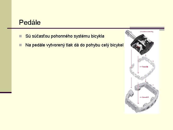 Pedále n Sú súčasťou pohonného systému bicykla n Na pedále vytvorený tlak dá do