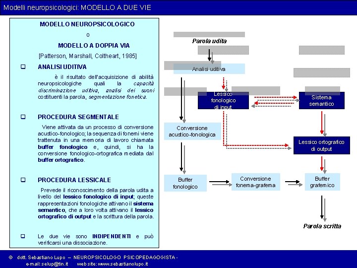 Modelli neuropsicologici: MODELLO A DUE VIE MODELLO NEUROPSICOLOGICO o Parola udita MODELLO A DOPPIA