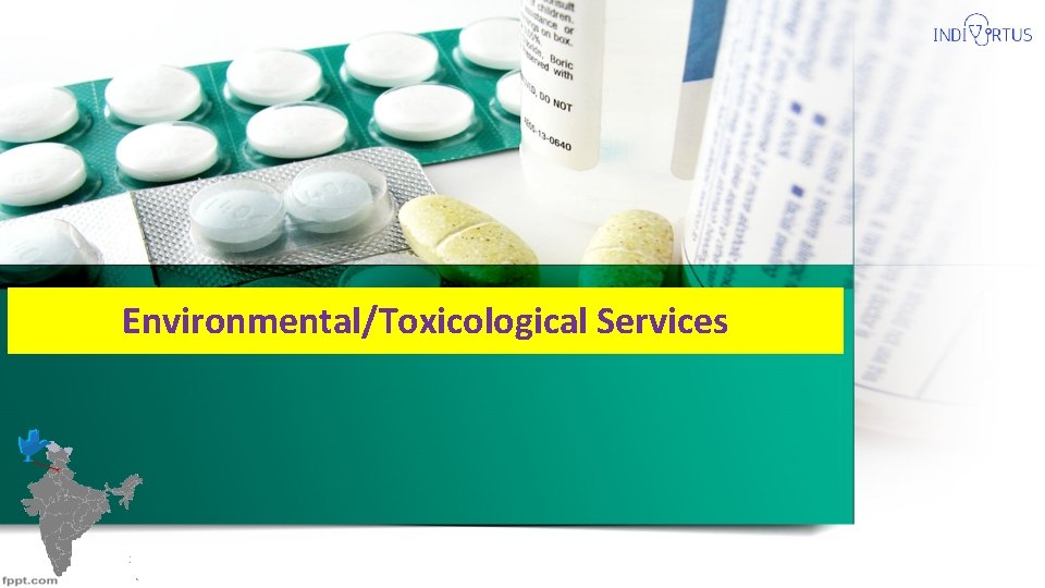 Environmental/Toxicological Services 