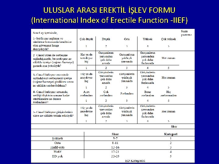 ULUSLAR ARASI EREKTİL İŞLEV FORMU (International Index of Erectile Function -IIEF) 