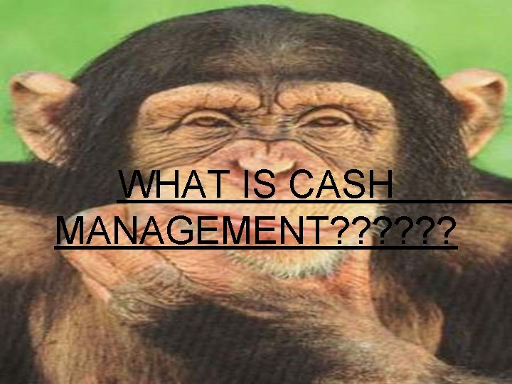 WHAT IS CASH MANAGEMENT? ? ? WHAT IS CASH MANAGEMENT? ? ?