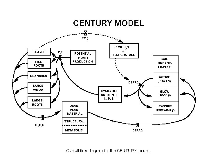 Overall flow diagram for the CENTURY model. 
