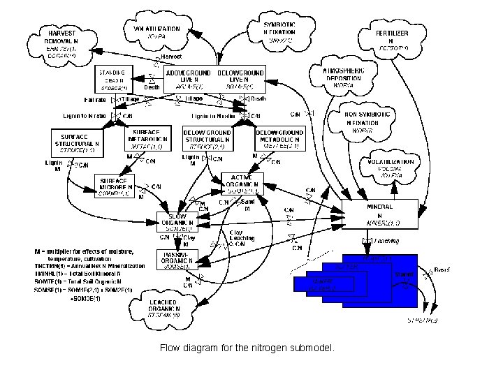 Flow diagram for the nitrogen submodel. 
