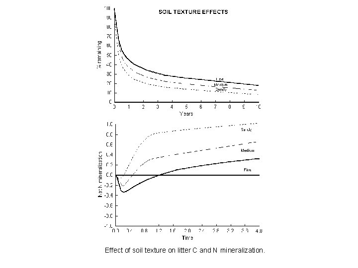 Effect of soil texture on litter C and N mineralization. 