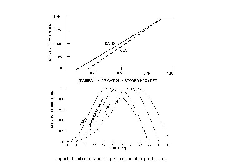 Impact of soil water and temperature on plant production. 