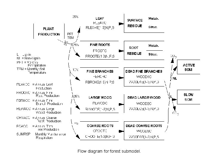 Flow diagram forest submodel. 