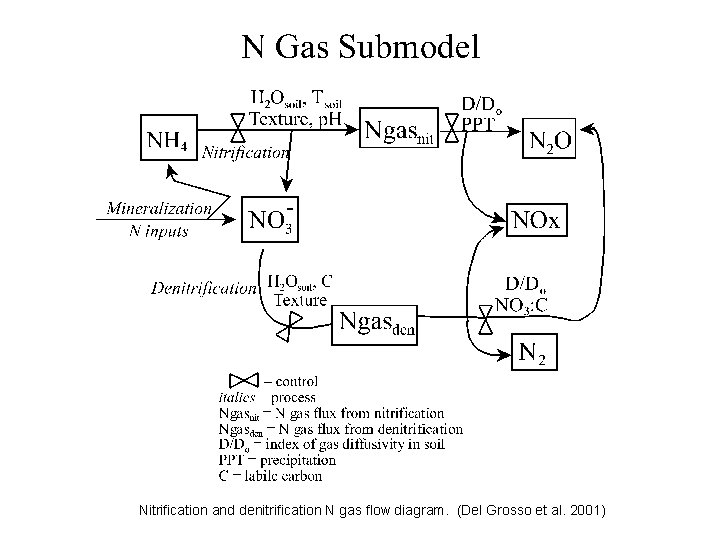 Nitrification and denitrification N gas flow diagram. (Del Grosso et al. 2001) 