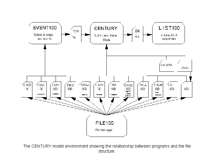 The CENTURY model environment showing the relationship between programs and the file structure. 