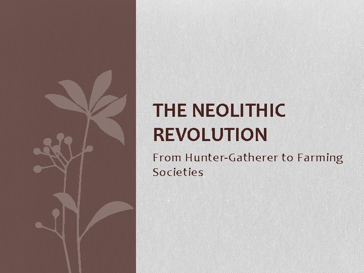 THE NEOLITHIC REVOLUTION From Hunter-Gatherer to Farming Societies 