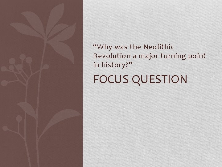 “Why was the Neolithic Revolution a major turning point in history? ” FOCUS QUESTION