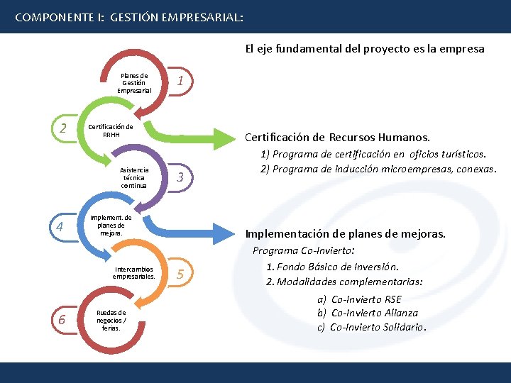 COMPONENTE I: GESTIÓN EMPRESARIAL: El eje fundamental del proyecto es la empresa Planes de