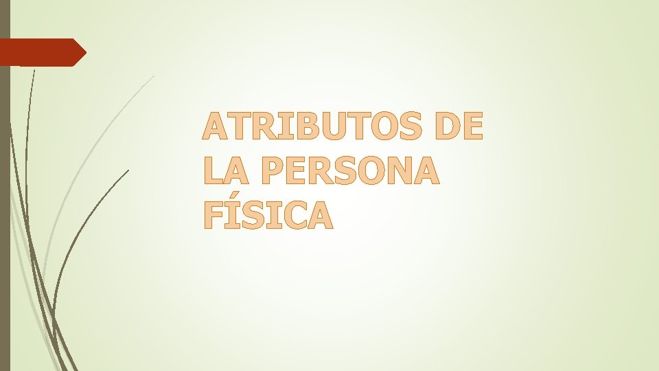 ATRIBUTOS DE LA PERSONA FÍSICA 