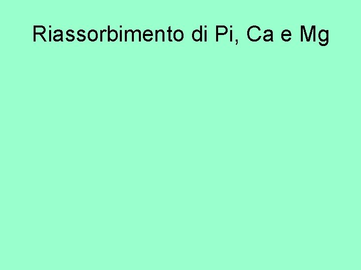 Riassorbimento di Pi, Ca e Mg 