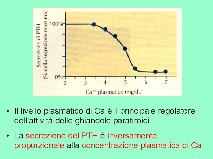  • Il livello plasmatico di Ca è il principale regolatore dell’attività delle ghiandole