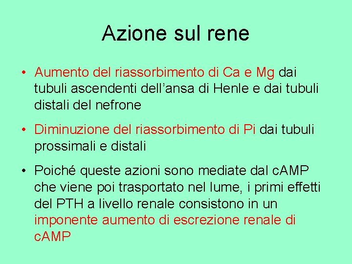 Azione sul rene • Aumento del riassorbimento di Ca e Mg dai tubuli ascendenti