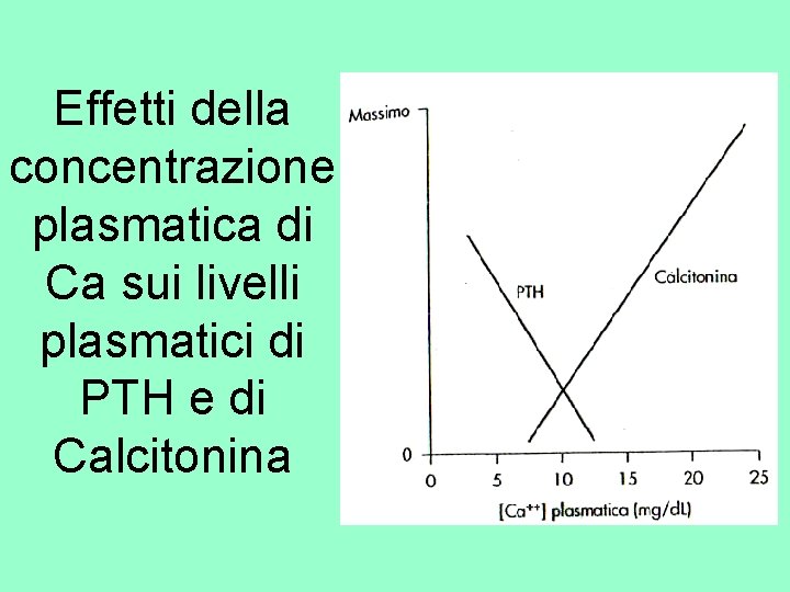 Effetti della concentrazione plasmatica di Ca sui livelli plasmatici di PTH e di Calcitonina