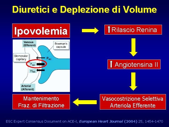 Diuretici e Deplezione di Volume Ipovolemia Rilascio Renina Angiotensina II Mantenimento Fraz. di Filtrazione