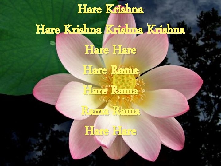 Hare Krishna Hare Rama Hare 