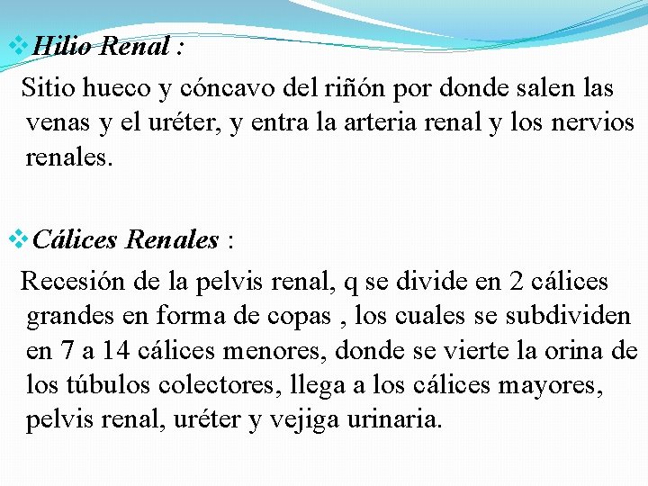 v. Hilio Renal : Sitio hueco y cóncavo del riñón por donde salen las v. Hilio Renal : Sitio hueco y cóncavo del riñón por donde salen las
