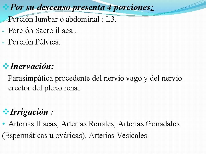 v. Por su descenso presenta 4 porciones: - Porción lumbar o abdominal : L v. Por su descenso presenta 4 porciones: - Porción lumbar o abdominal : L