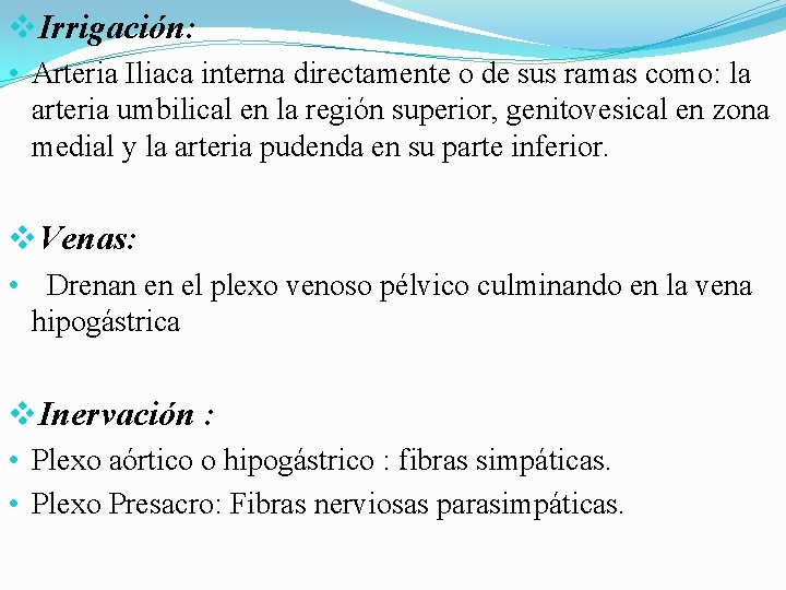 v. Irrigación: • Arteria Iliaca interna directamente o de sus ramas como: la arteria v. Irrigación: • Arteria Iliaca interna directamente o de sus ramas como: la arteria
