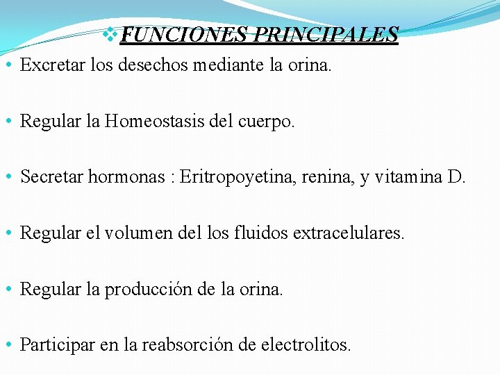 v. FUNCIONES PRINCIPALES • Excretar los desechos mediante la orina. • Regular la Homeostasis v. FUNCIONES PRINCIPALES • Excretar los desechos mediante la orina. • Regular la Homeostasis